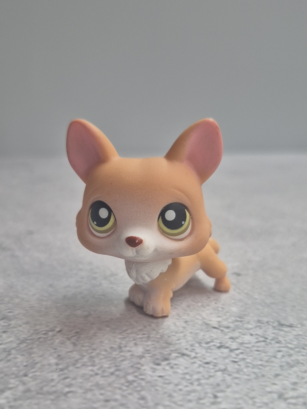 Littlest Pet Shop Corgi #183